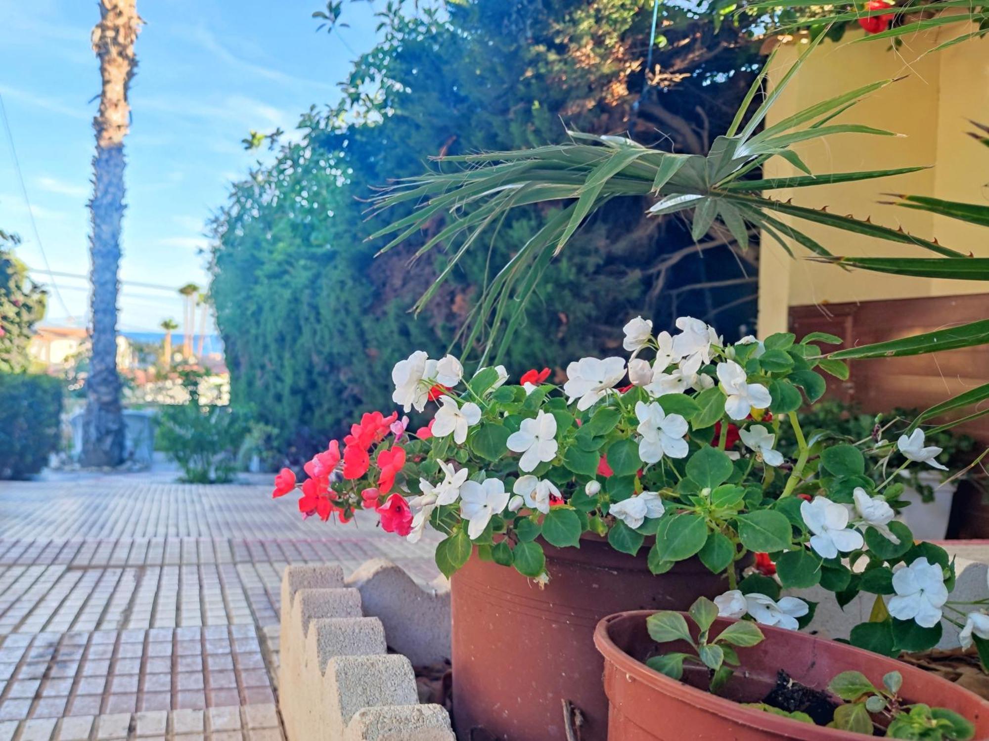 Casona Del Mar Terraza Y Vistas Al Mediterraneo Ел-Кампельйо Екстер'єр фото